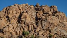 joshua-tree-rocks-outcropping-194277.jpg