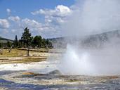 yellowstone-national-park-wyoming-98363.jpg