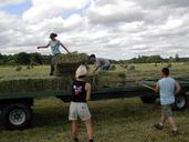 agriculture-field-rural-nature-91149.jpg