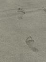 Footprints in sand (1).jpg