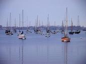 San diego bay sailboats.jpg