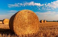 straw-bales-stubble-agriculture-726976.jpg