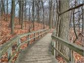 Boardwalk,_Rattray_Marsh,_Mississauga.jpg