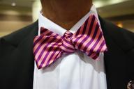 bow-tie-neckware-man-bow-bowtie-1084323.jpg