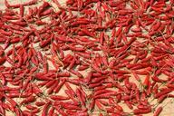 spice-chili-sharp-chili-peppers-1028143.jpg