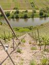 vineyard-steep-slope-winegrowing-56196.jpg