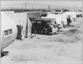 Edison,_Kern_County,_California._Close-up_of_potato_camp_-_NARA_-_521782.jpg