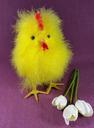 easter-chicks-chicken-hahn-cute-631516.jpg