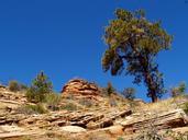 zion-national-park-utah-usa-rocks-53843.jpg