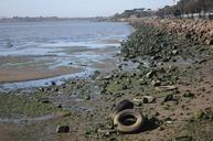 Shore_of_San_Francisco_Bay_at_Gilman_St.jpg