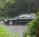 rain-auto-plant-weather-340885.jpg