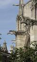 Gargouilles gargoyles Notre Dame de Paris.jpg