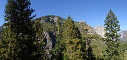 valley-vegetation-incense-cedar-1049594.jpg