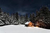 cabin-pine-trees-starry-night-1082058.jpg