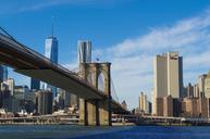 brooklyn-bridge-manhattan-downtown-588950.jpg