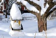 birdhouse-winter-tribe-snow-742805.jpg