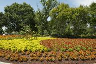 Scene from the 66-acre Dallas Arboretum and Botanical Garden in Dallas, Texas LCCN2014632947.tif.tiff