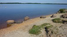 lake-summer-swim-landscape-722069.jpg