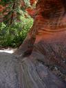 zion-national-park-utah-usa-red-59622.jpg