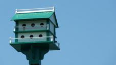 birdhouse-bird-nesting-house-home-165687.jpg