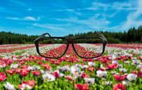 spectacles-glasses-frame-see-95615.jpg