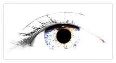 eye-pupil-iris-see-eyelashes-lens-597560.jpg