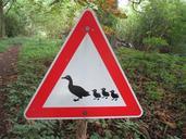 traffic-sign-ducks-958128.jpg