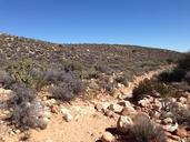 red-rock-desert-land-landscape-1225953.jpg