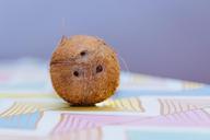 coconut-tropical-fruit-summer-933310.jpg