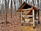 pasture-forest-feeding-hay-shed-1287840.jpg