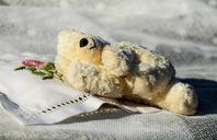 teddy-plush-bears-pillow-sleep-1623443.jpg