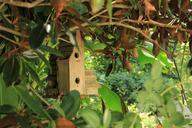 birdhouse-bird-house-wooden-nature-855892.jpg