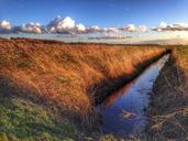 marsh-cuxhaven-romance-sunset-reed-266111.jpg