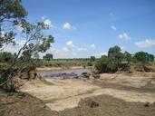 kenya-safari-hippo-wildlife-nature-683180.jpg