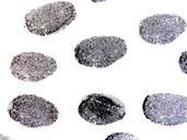 fingerprint-traces-pattern-456486.jpg