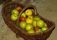 basket-apples-collection-904917.jpg