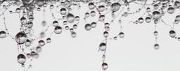 droplets-white-rain-drops-the-dew-1100338.jpg