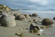 boulders-moeraki-koekohe-beach-sea-717877.jpg