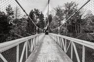 suspension-bridge-bridge-voodoo-old-542553.jpg