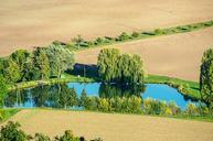 pond-trees-mirroring-fields-327653.jpg