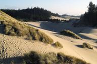 dunes-sand-beach-coast-oregon-usa-50068.jpg