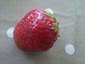 strawberry-fruit-red-delicious-385385.jpg