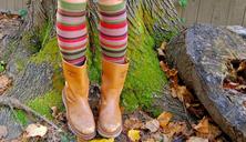 fun-socks-boots-fall-autumn-nature-1179312.jpg