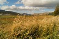 landscape-patagonia-905950.jpg