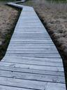 web-boardwalk-moor-swamp-moorland-357828.jpg