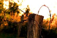 barbed-wire-evening-sunset-farmland-1618261.jpg