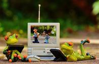 frogs-computer-news-laptop-funny-1037660.jpg