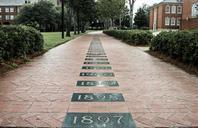 brick-path-walkway-outdoor-519588.jpg