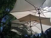 umbrella-umbrellas-sun-shade-51602.jpg