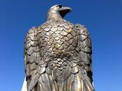 bald-eagle-eagle-bronze-freedom-325261.jpg